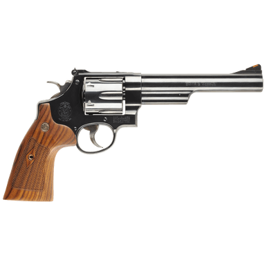 Smith & Wesson Model 29